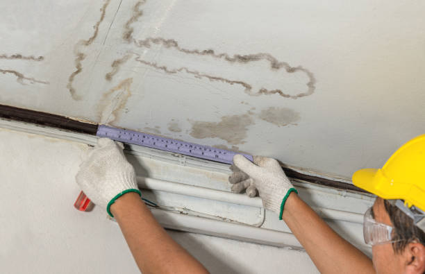 Reliable Sewage Cleanup contractor in Oldwick, NJ by Water Damage Irwin